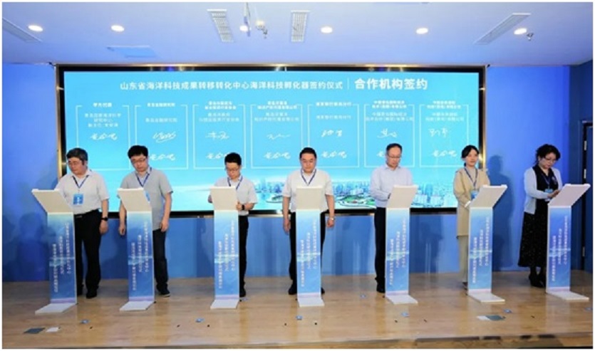 888集团电子游戏(中国区)有限公司官网
